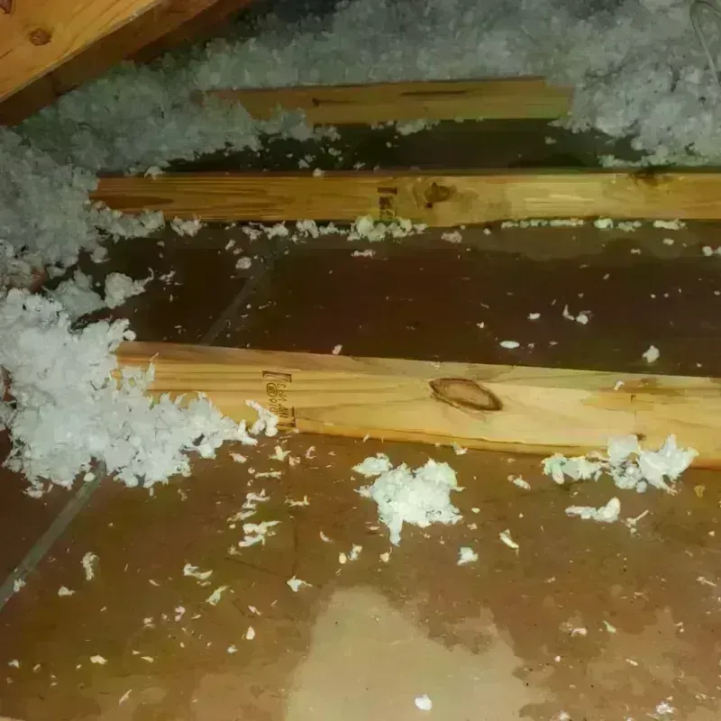 Attic Water Damage in San Isidro, PR